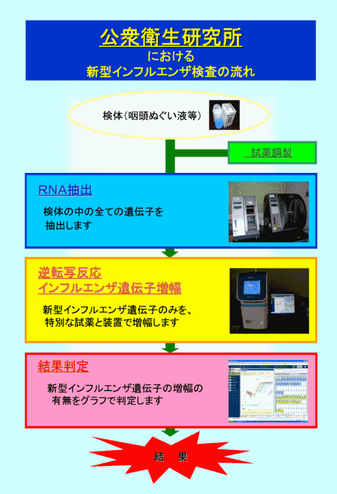 �V�^�C���t���G���U�����̗���